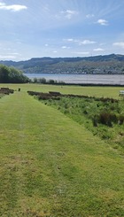 MacRae Park