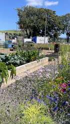Gateway Garden.jpg