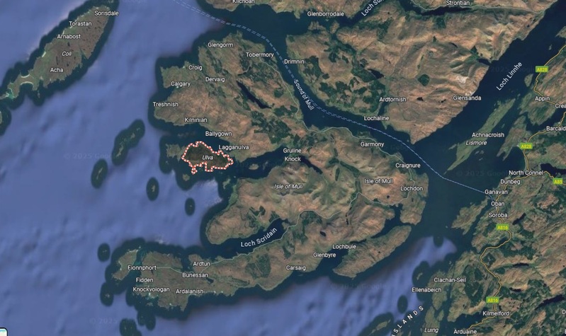 Ulva Ulva