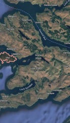 Ulva