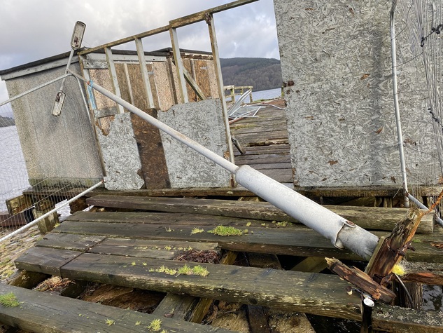 Timber Pier 