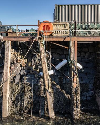 Piles damage