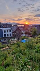 Photograph of the Rockfield Garden
